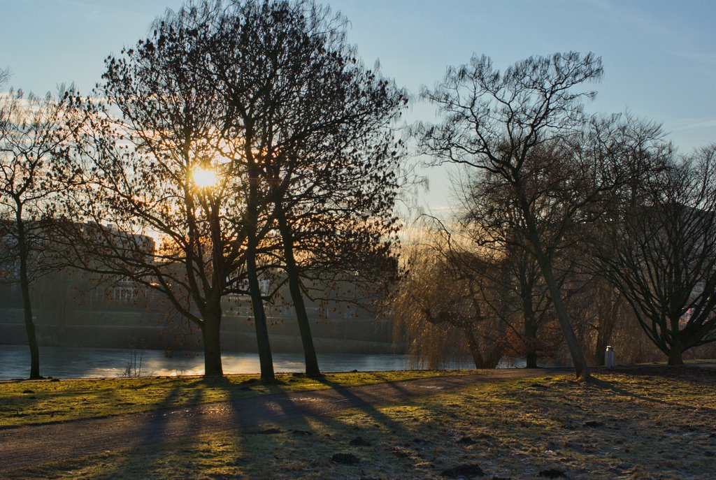 Sunrise on Aasee 1