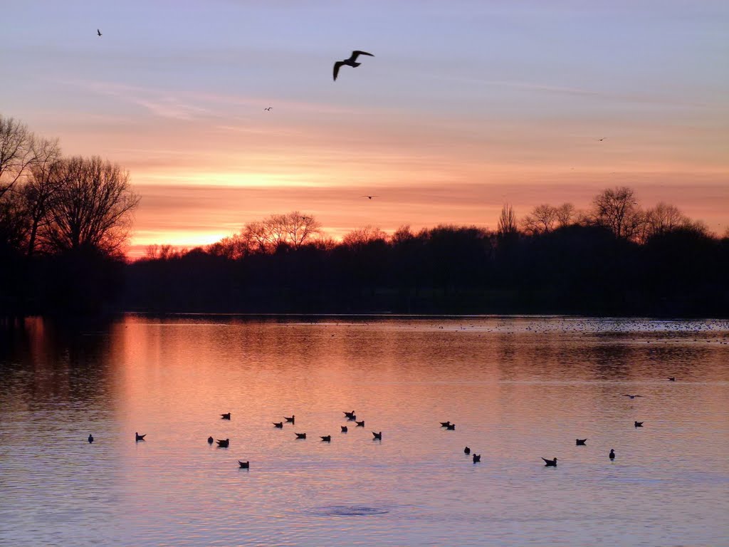 Sunset Aasee