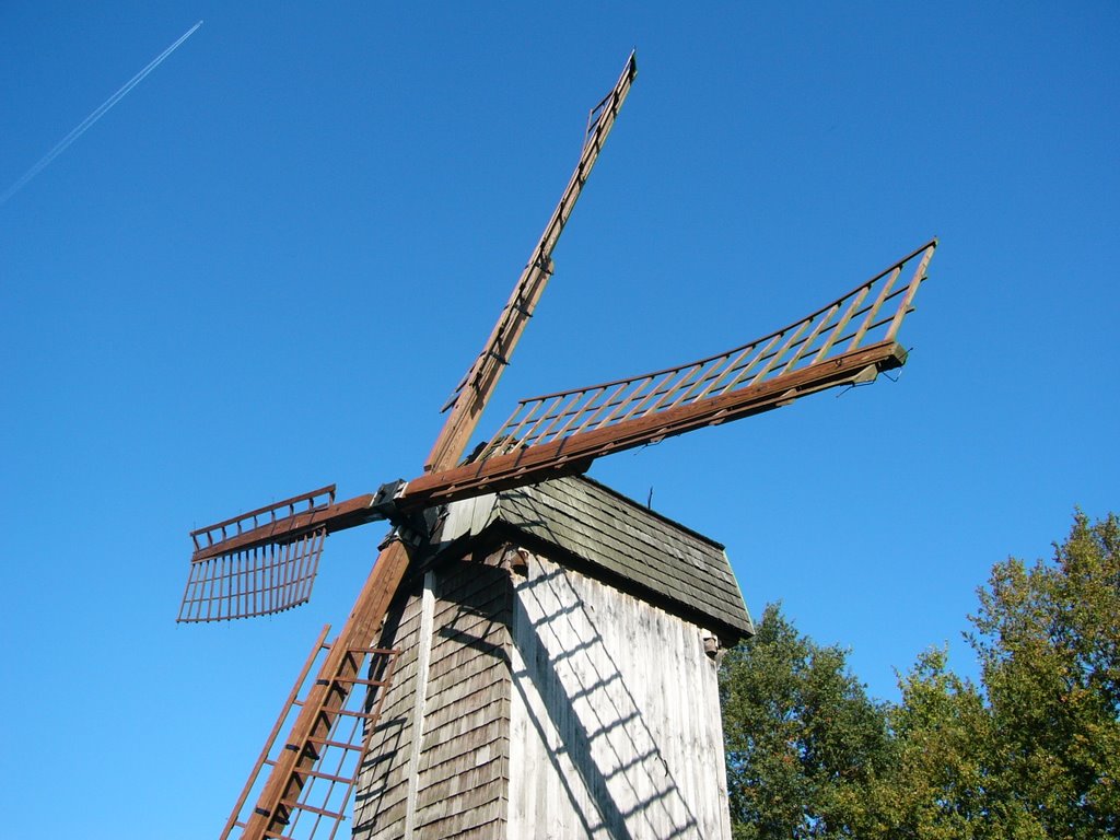Im Freilichtmuseum am Aasee