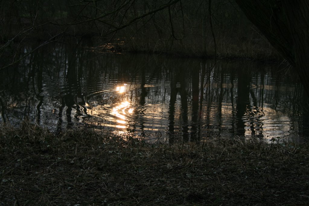 Sonnenreflektionen Teich Stadtpark Wienburg