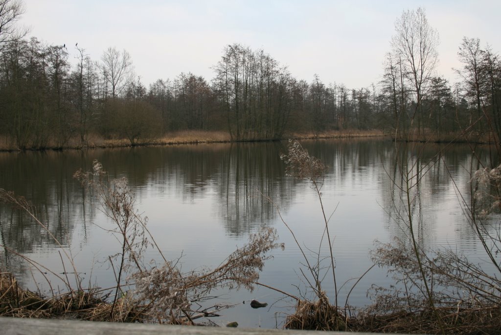 See Stadtpark Wienburg, Münster
