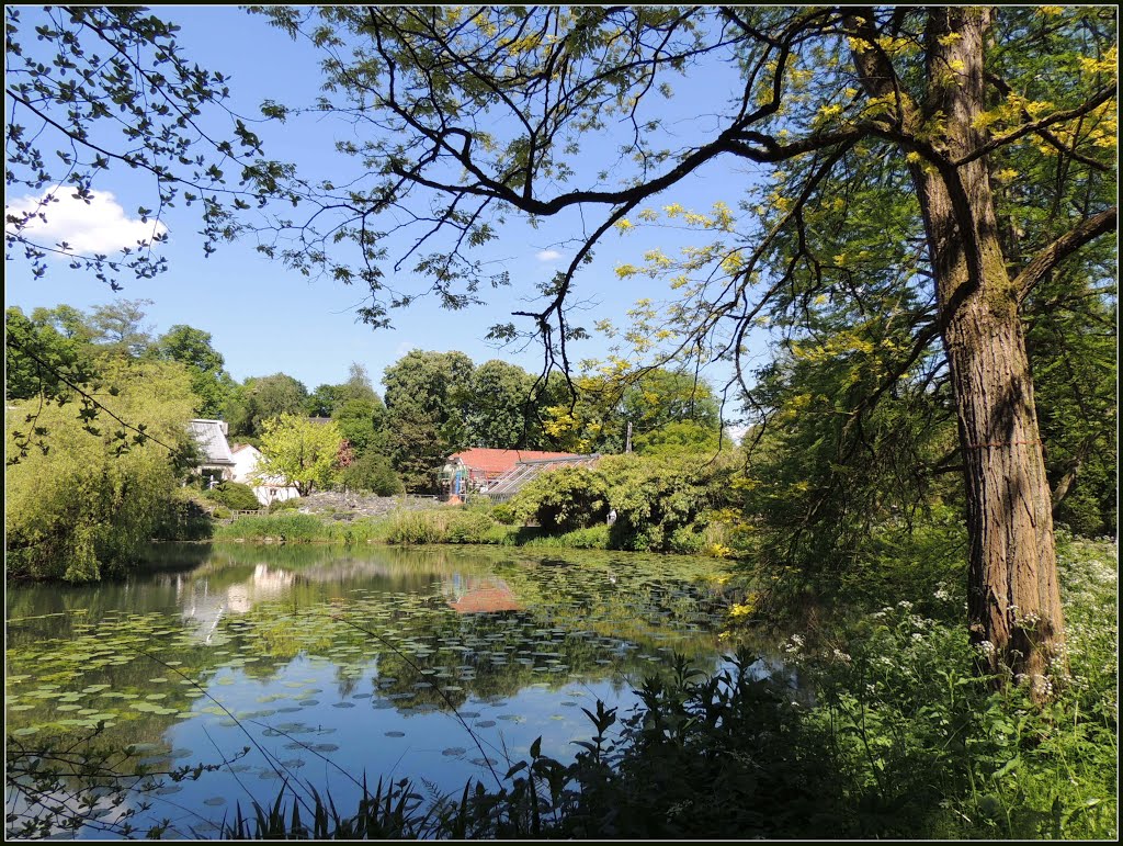 Botanischer Garten