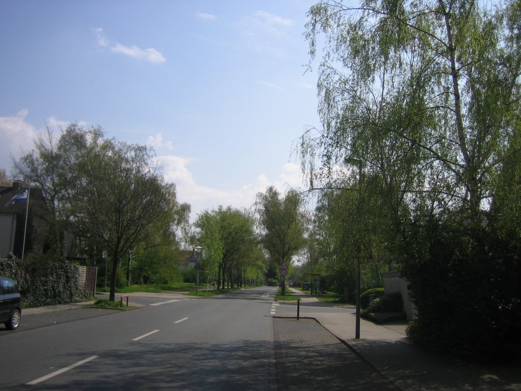 Rehmer - 23.04.2008