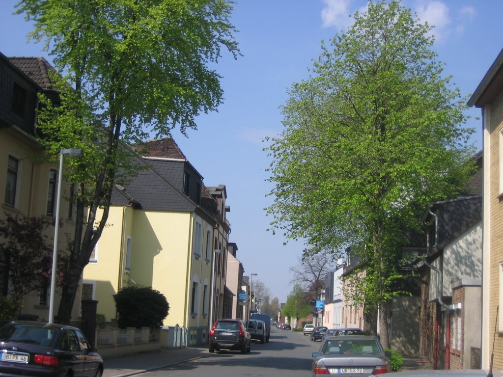 Franzenkamp - 23.04.2008  - OB - Alstaden