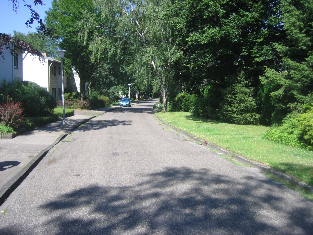 Keltenstraße