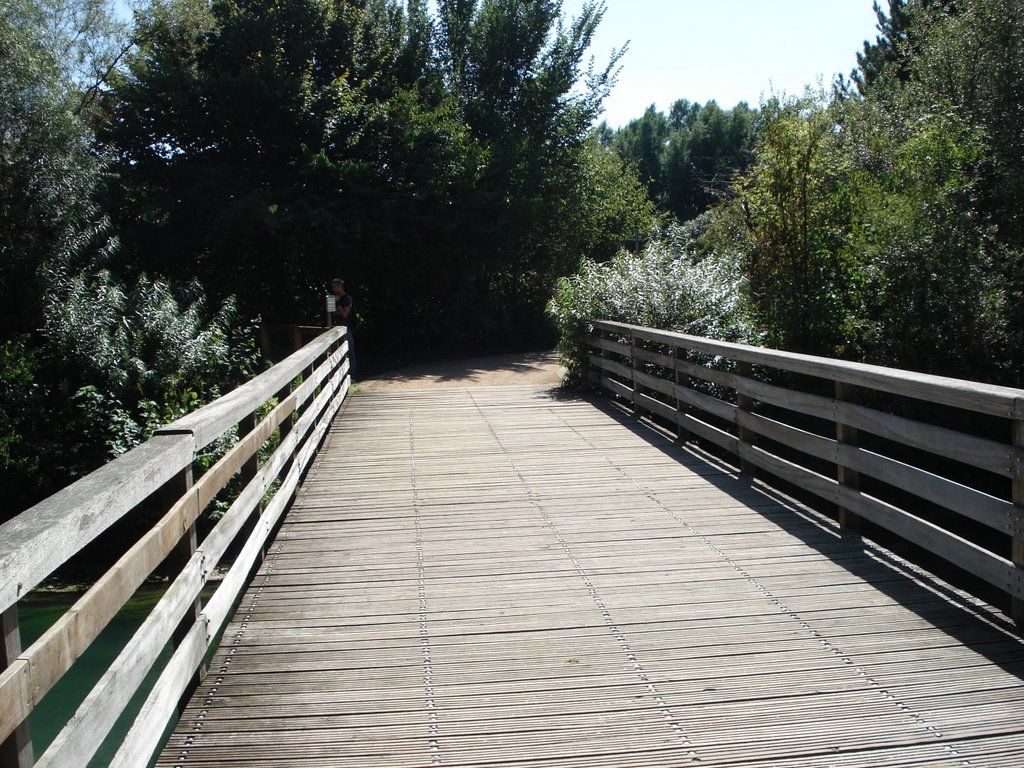 Bridge along path at Padersee Paderborn