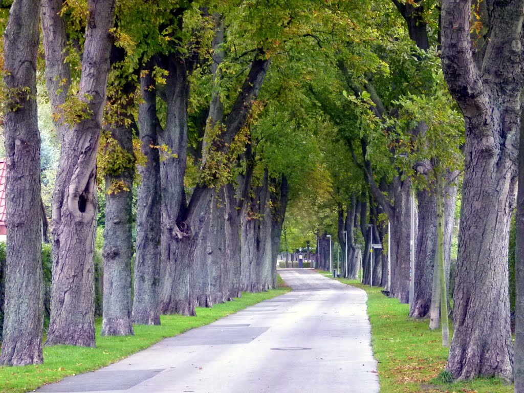 Stadtallee