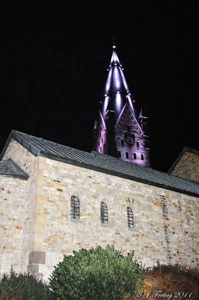 Dom Paderborn