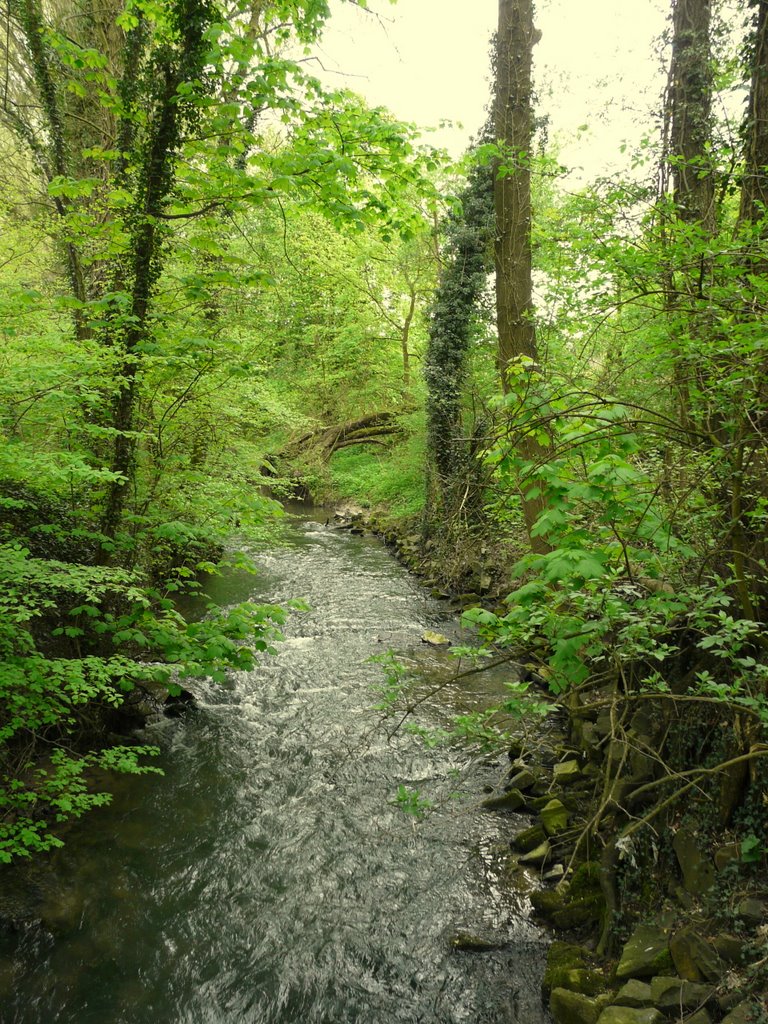 angerbach_ratingen