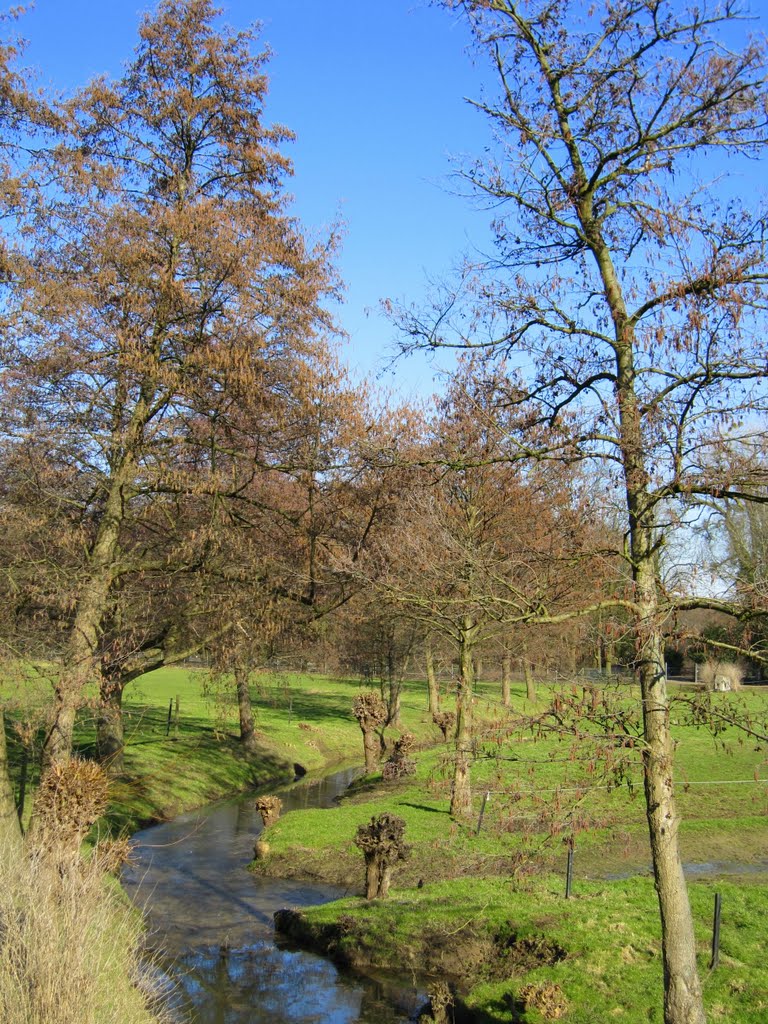An der Wasserburg "Haus im Haus" in Ratingen
