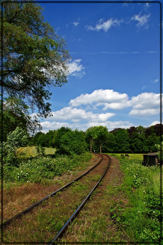 Wohin führt die Reise?