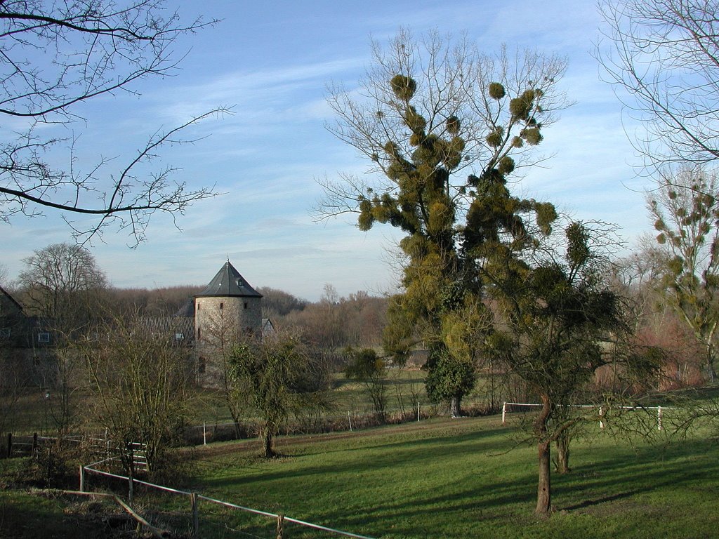 Ratingen, Haus zum Haus