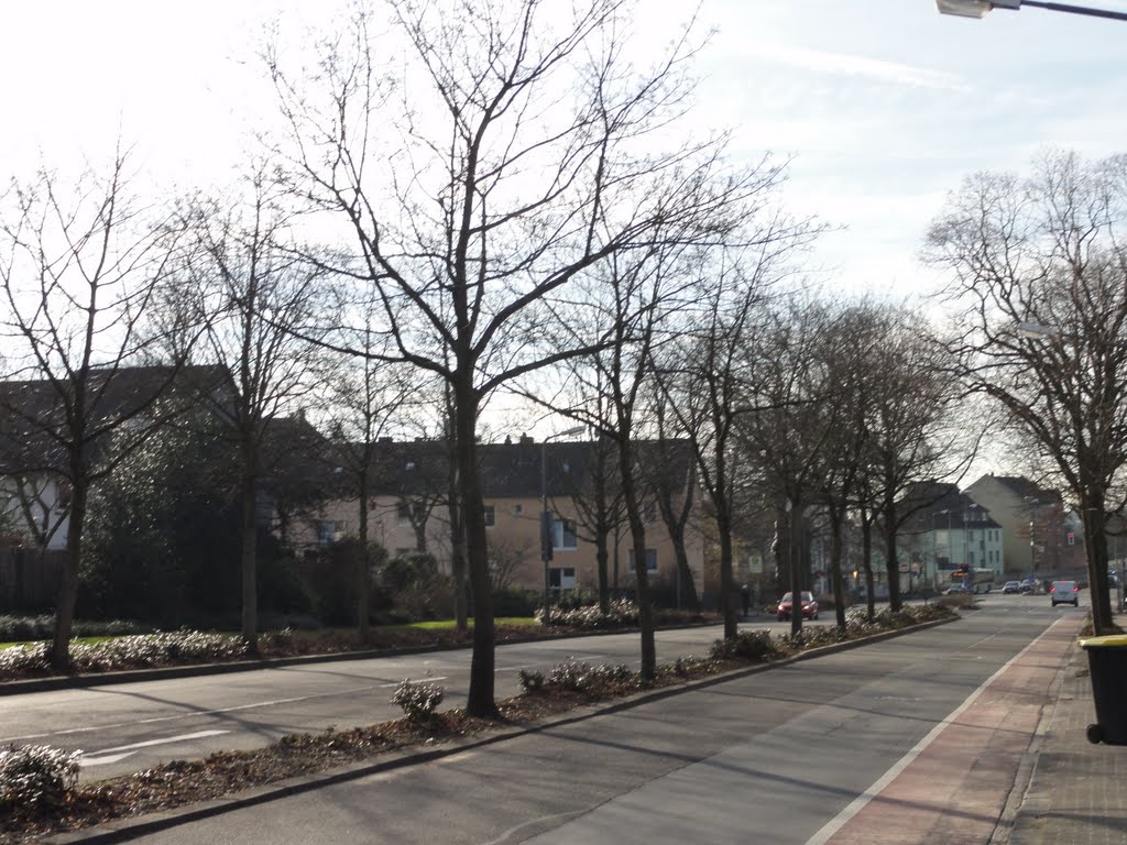 Rua arborizada de Ratingen