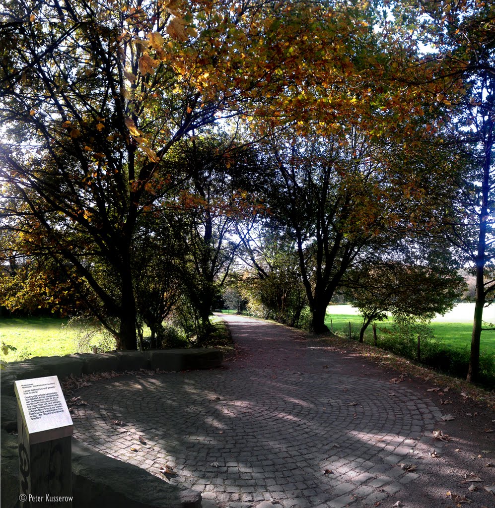 Ratingen - `Angerwiesen´, hinter der Textilfabrik Cromford (Panorama) - ©27.10.11 [4.252x4.368_pix]