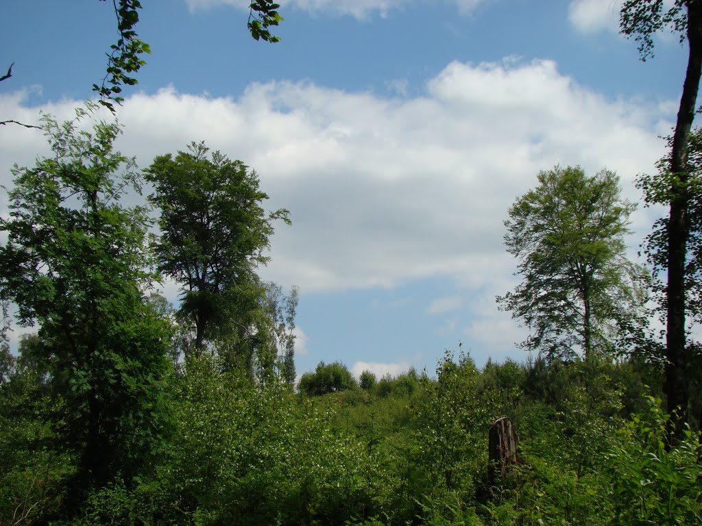 Niederbergisches Land Juni 2012