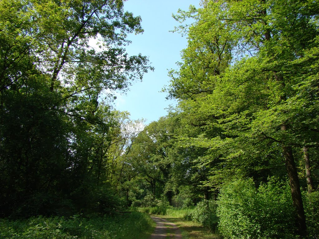 Niederbergisches Land Juni 2012