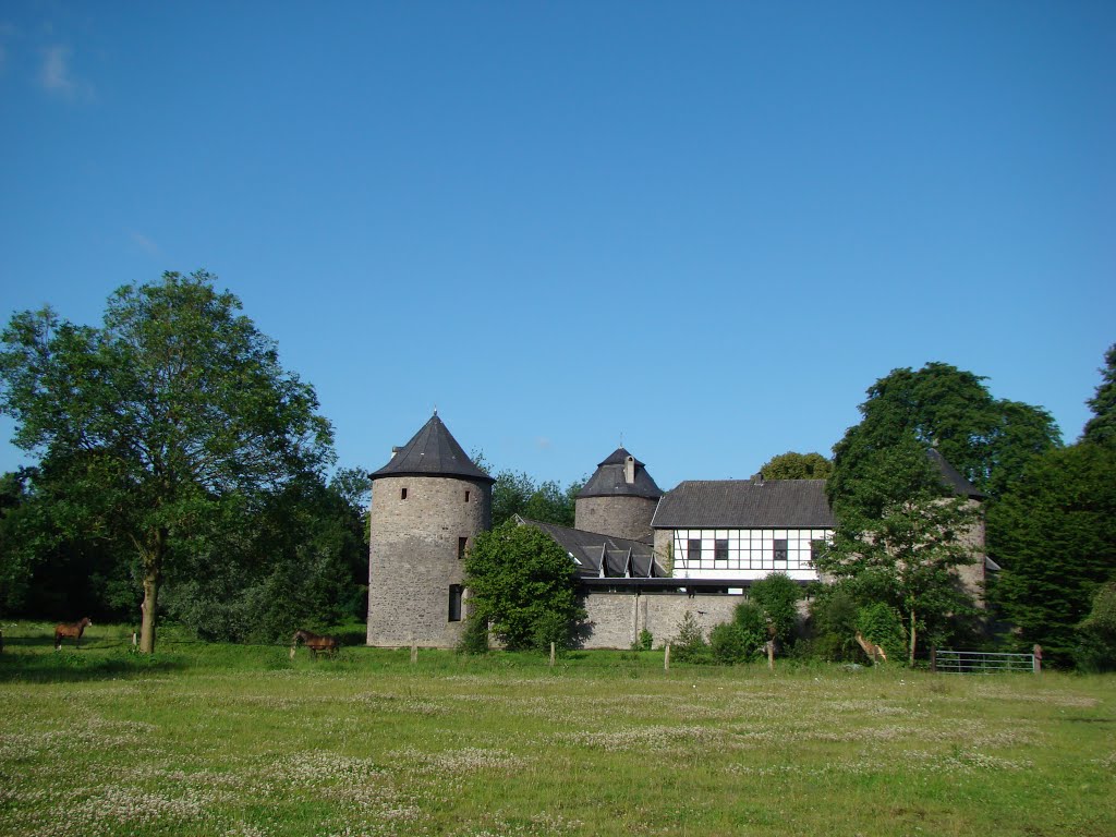 Ratingen (Wasserburg Haus zum Haus) Juni 2012