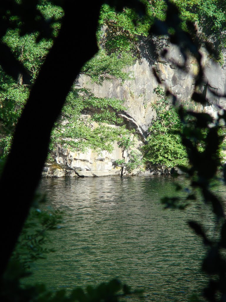 Niederbergisches Land (Blauer See) Juni 2012
