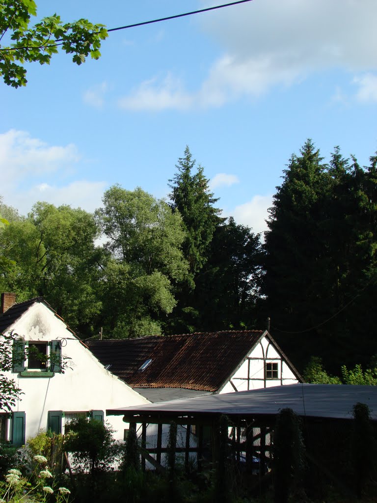 Niederbergisches Land Juni 2012