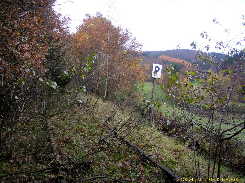 zugewachsene P-Tafel bei km 4,9