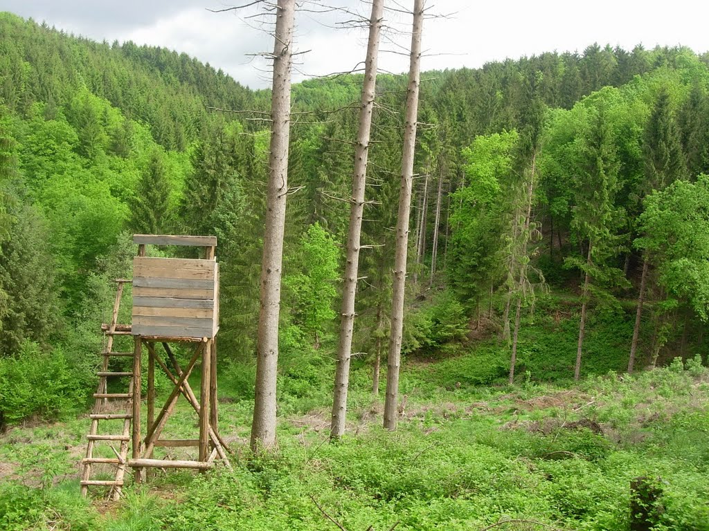 Siedenberger Weg