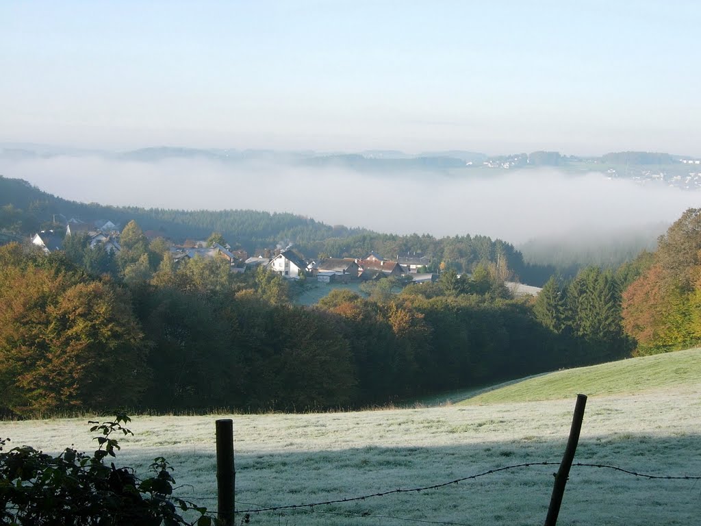 Siedenberg