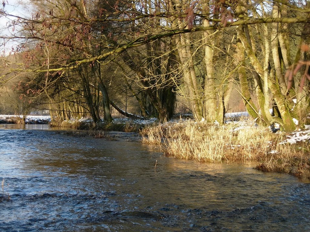 Wisserbach
