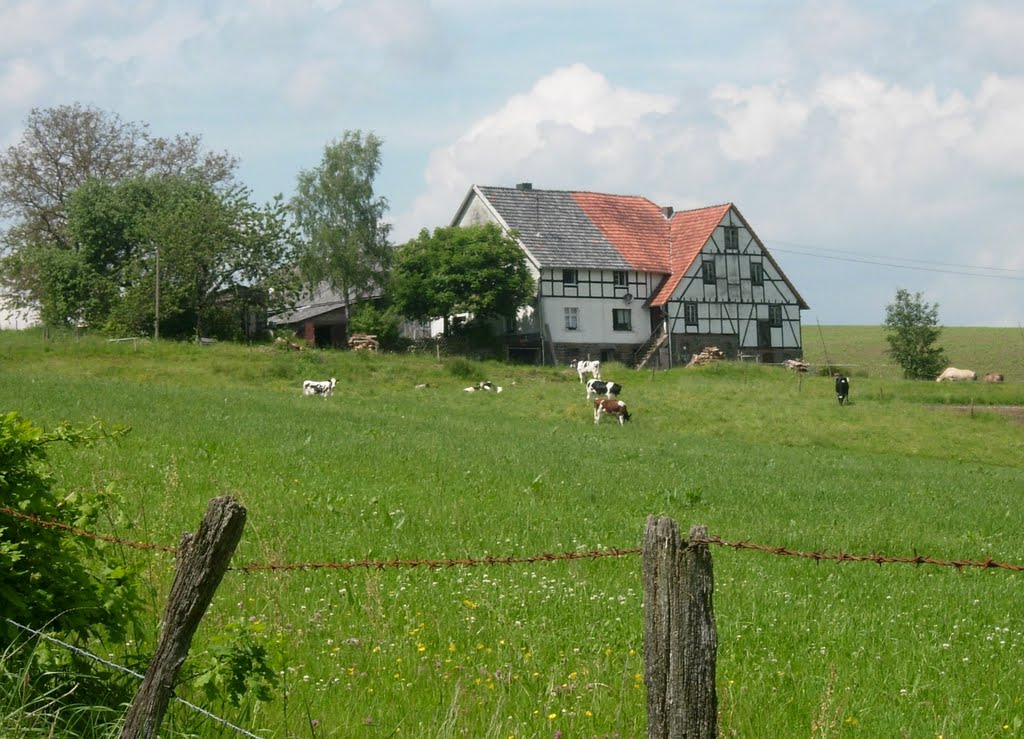 Bruchen