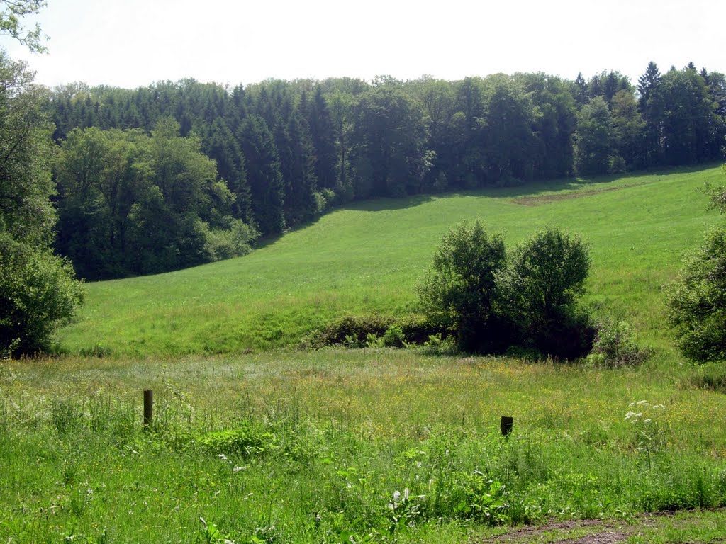 Brücherwiese
