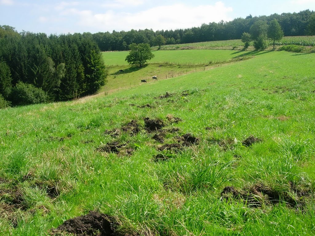 Teerstraße Volperhausen