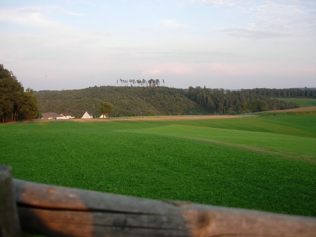 Steckelbach