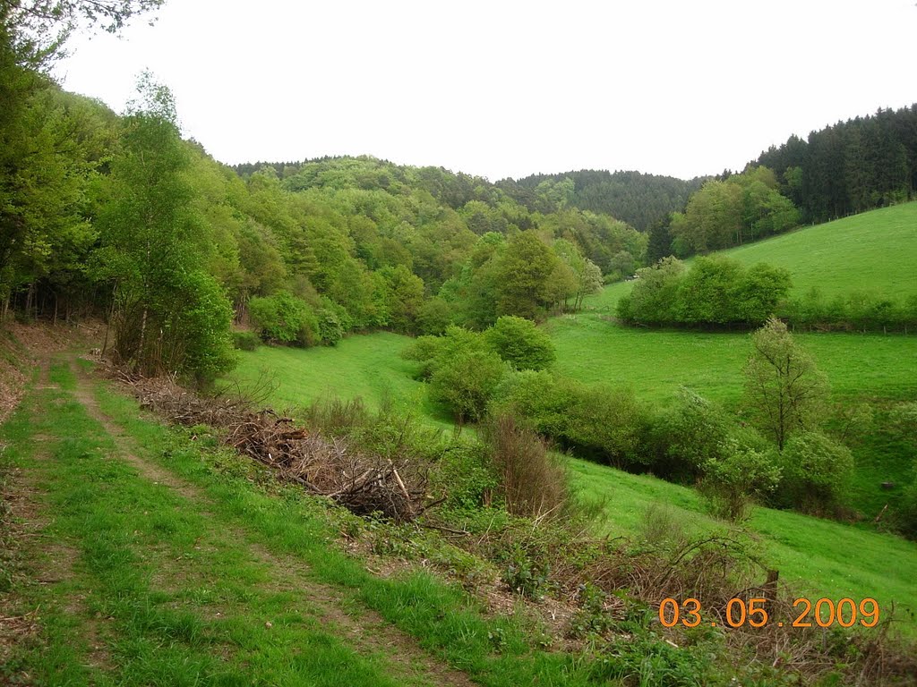 Müschenbach