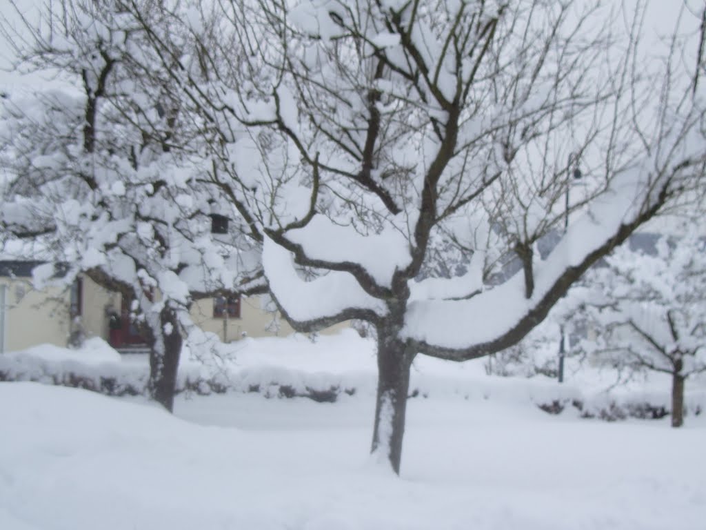 Schneemassen!
