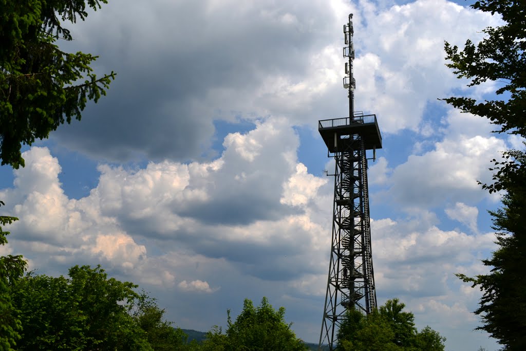 Aussichtsturm auf der Hardt