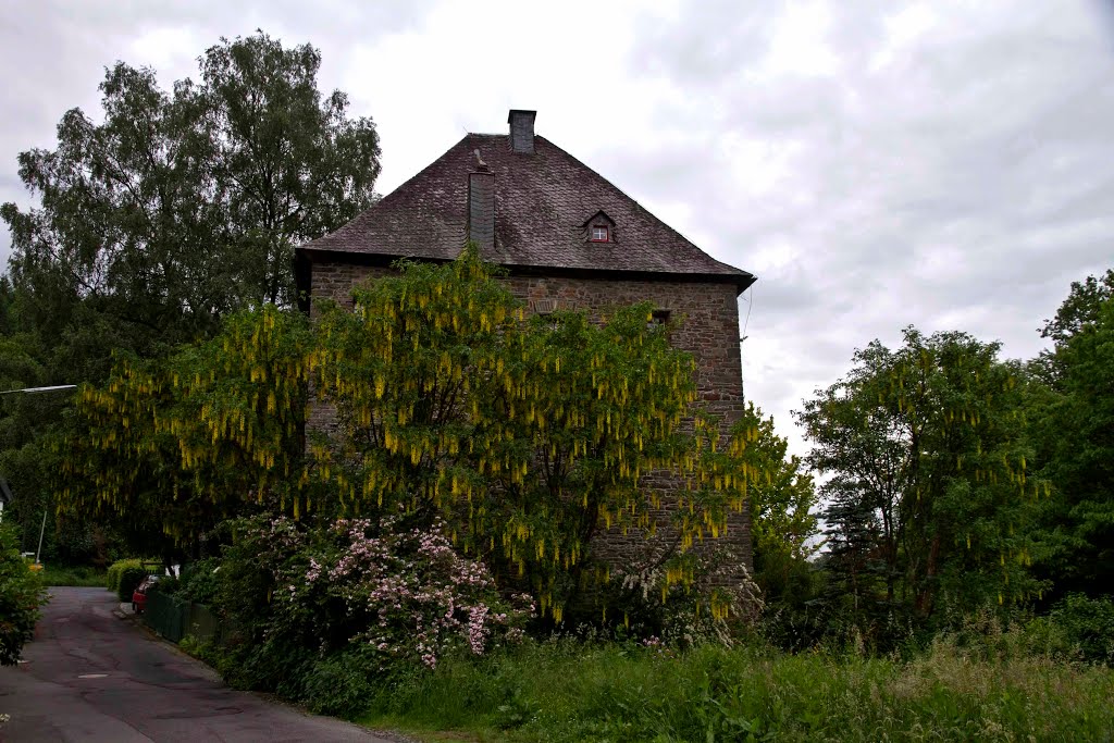 Volperhausen - Alte Burg