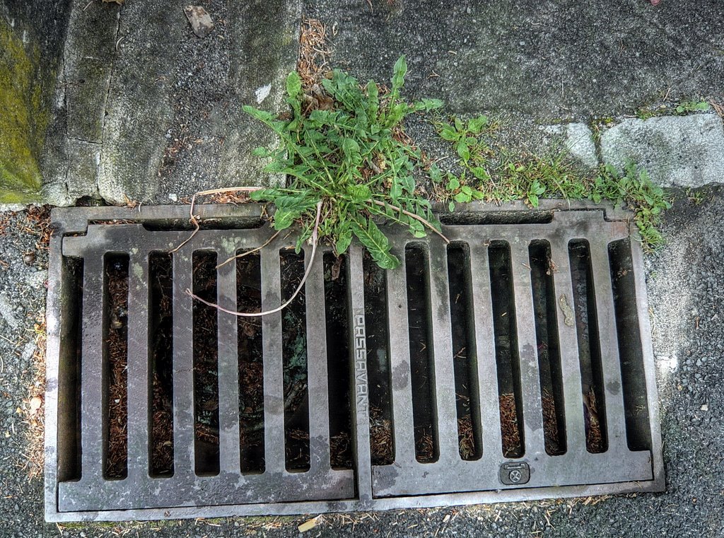 Ein Gully besteht aus einem häufig gitterförmigen Oberteil, dem Gullydeckel oder Senkkastendeckel (nicht zu verwechseln mit dem Kanaldeckel) aus Gusseisen, der in einem ebenfalls gusseisernen Rahmen eingesetzt ist. Deckel und Rahmen bezeichnet man im Stra