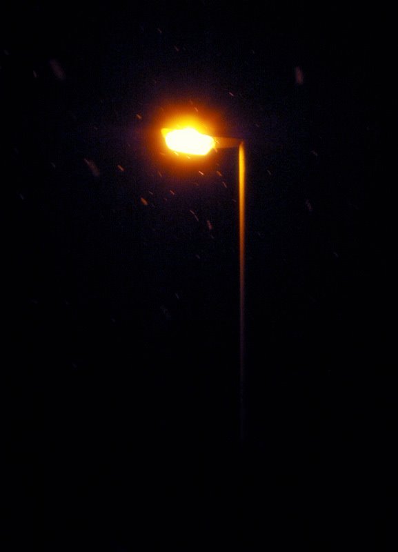 First Snowflakes in Siegen