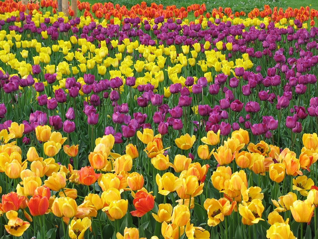 Schloßpark Siegen
