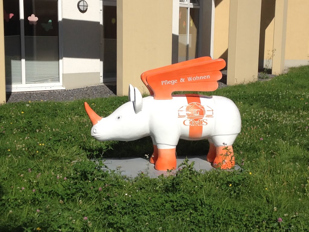 Pflege-Nashorn