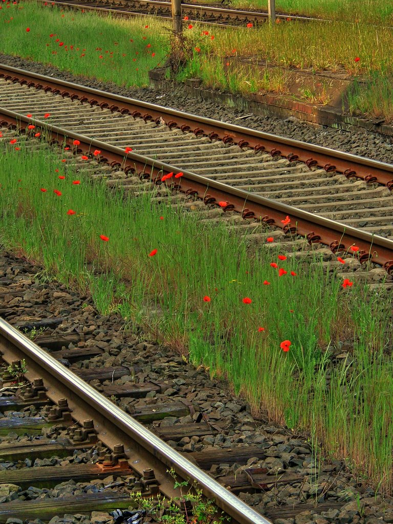 NATURE meets CIVILISATION