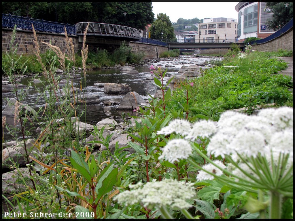 River in the City