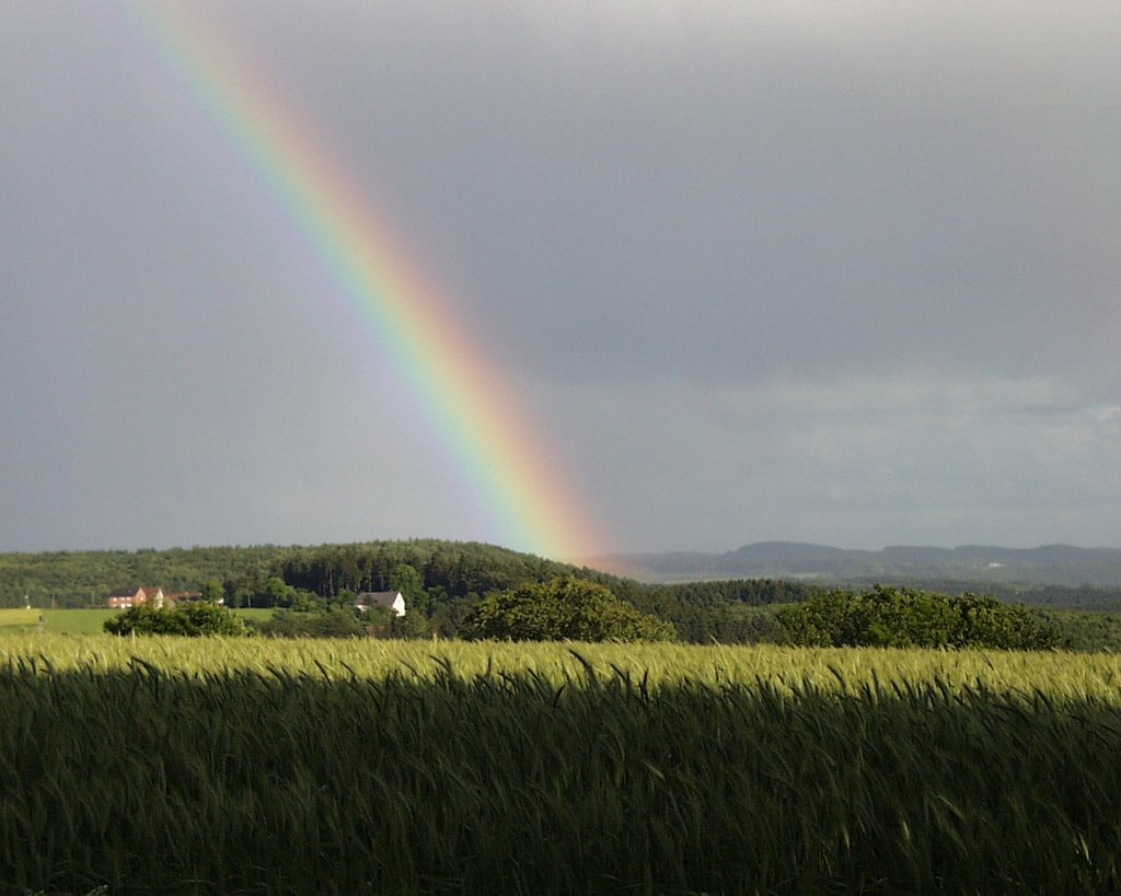 Blick ins Sauerland
