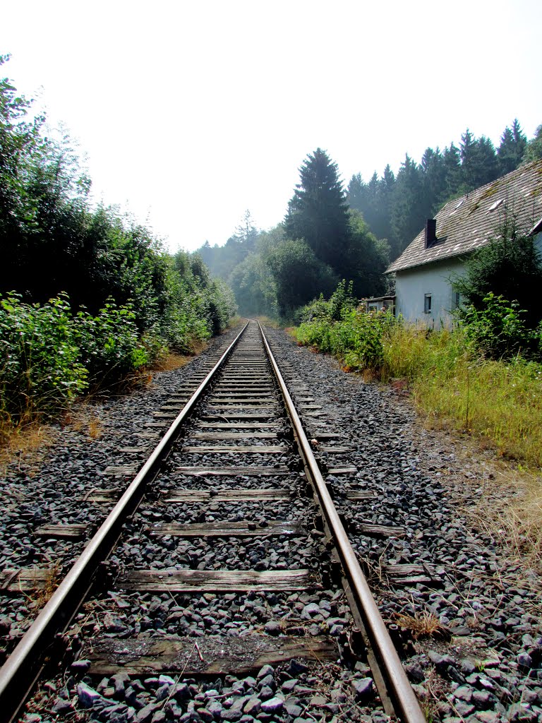 Waldbahn Almetal in Ringelstein
