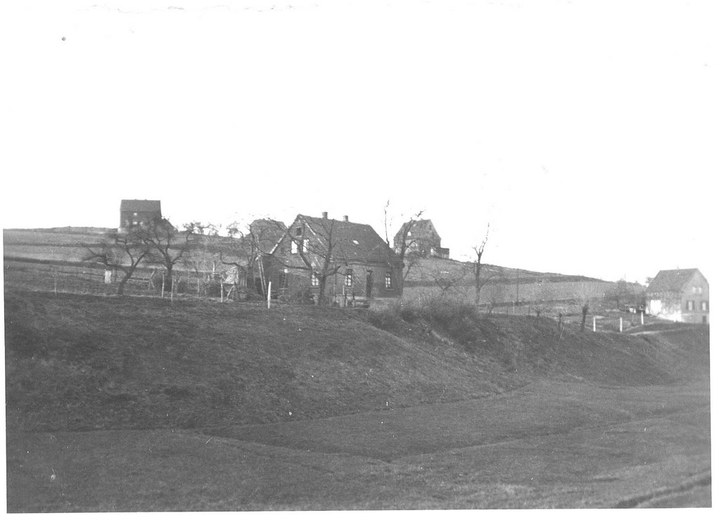 Historische Aufnahme der Gurlittstrasse, damals Wiesenstrasse, aus dem Nathebachtal heraus. Im Vordergrund die Häuser 49 und 39.