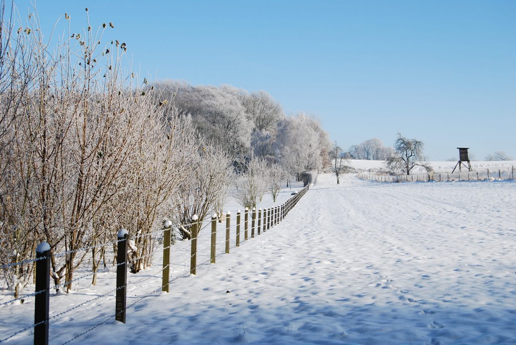 Aplerbecker Mark im Winter a.d. Schwerterheide / Hüsingheide + Hochsitz - Waldrand am Ruhrtal