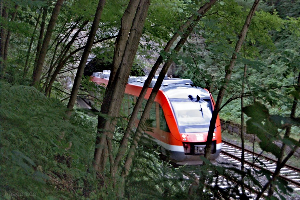 DB Regio NRW "Sauerland Express" Diesel-Triebwagen fährt zweigleisig von Schwerte (Ruhr) in Richtung Dortmund Aplerbeck...