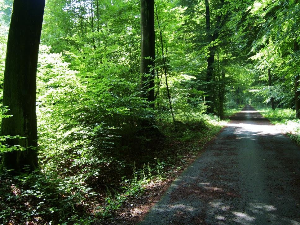 Mutter Möller Weg im Sommer