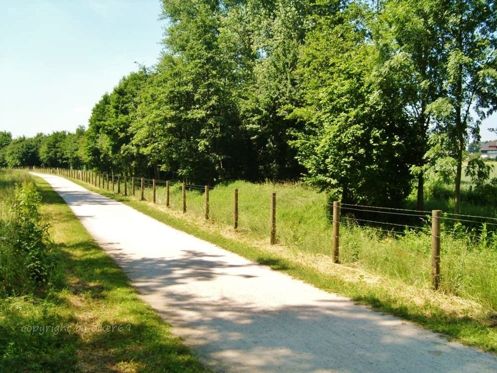 Hochsommer in Sölde
