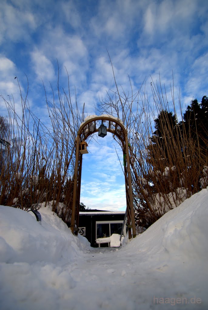 Heavens Gate 2011 - Schürener Himmelspforte vom Emschertal a.d. Schüruferstraße 246 (Ruhr Metropole Ost) - Rose Arch Inside Huge Hedge