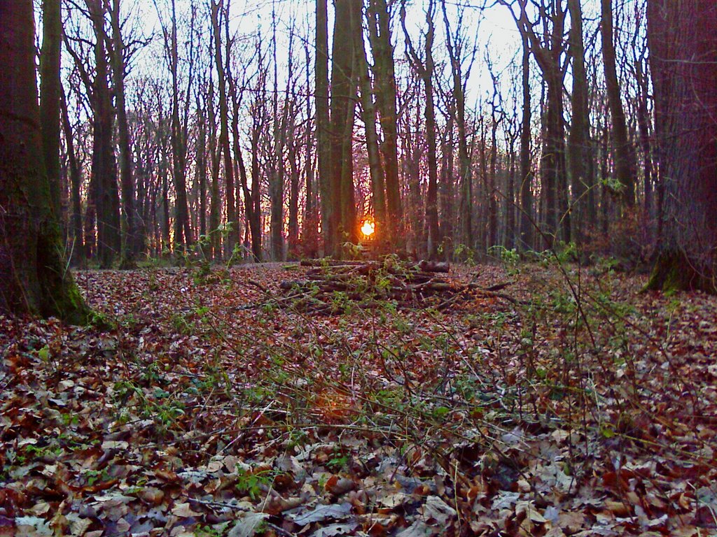 Sonnenuntergang im Schwerter Wald (12/2007)